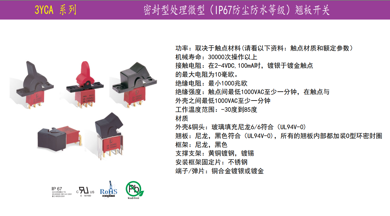防水翘板开关 防水翘板开关